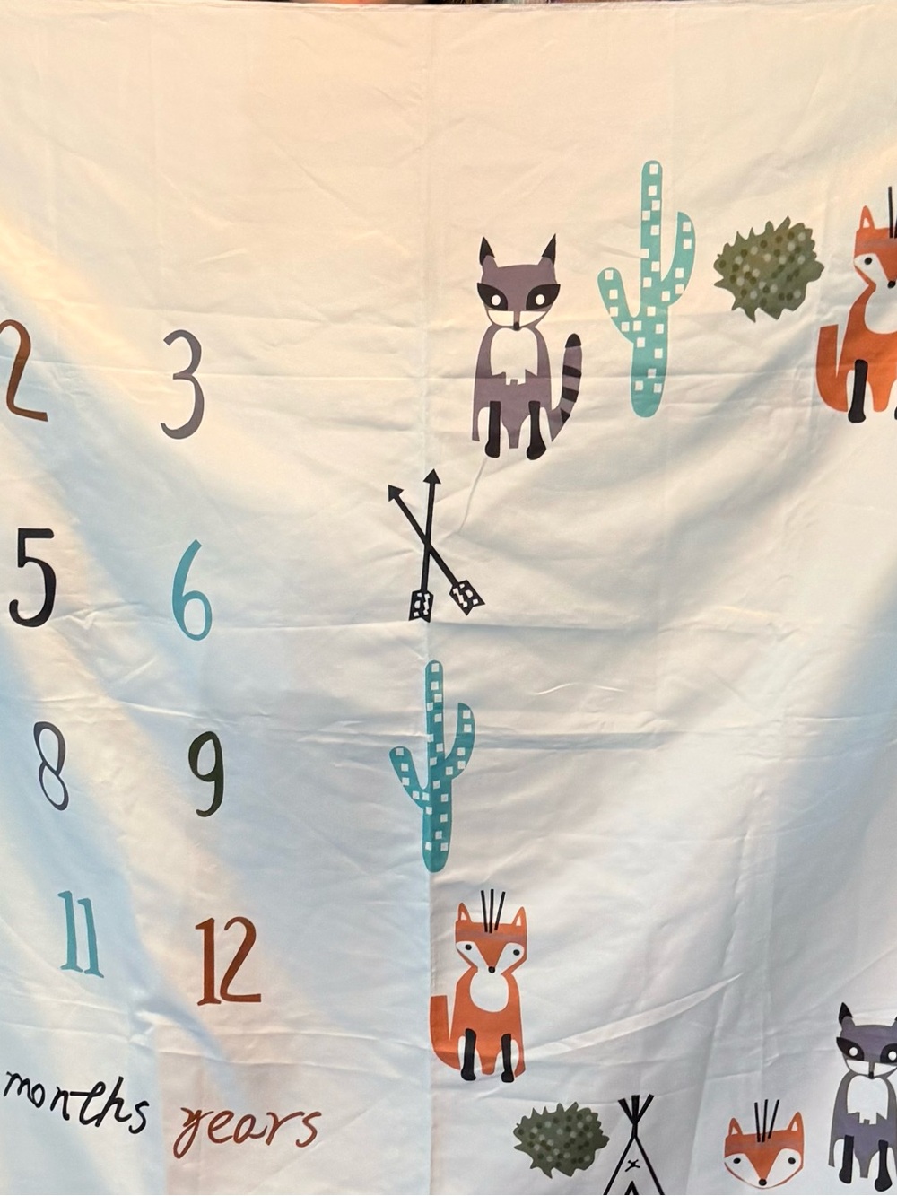 Woodland Fox & Raccoon Milestone Blanket - Teal, Orange, Gray
